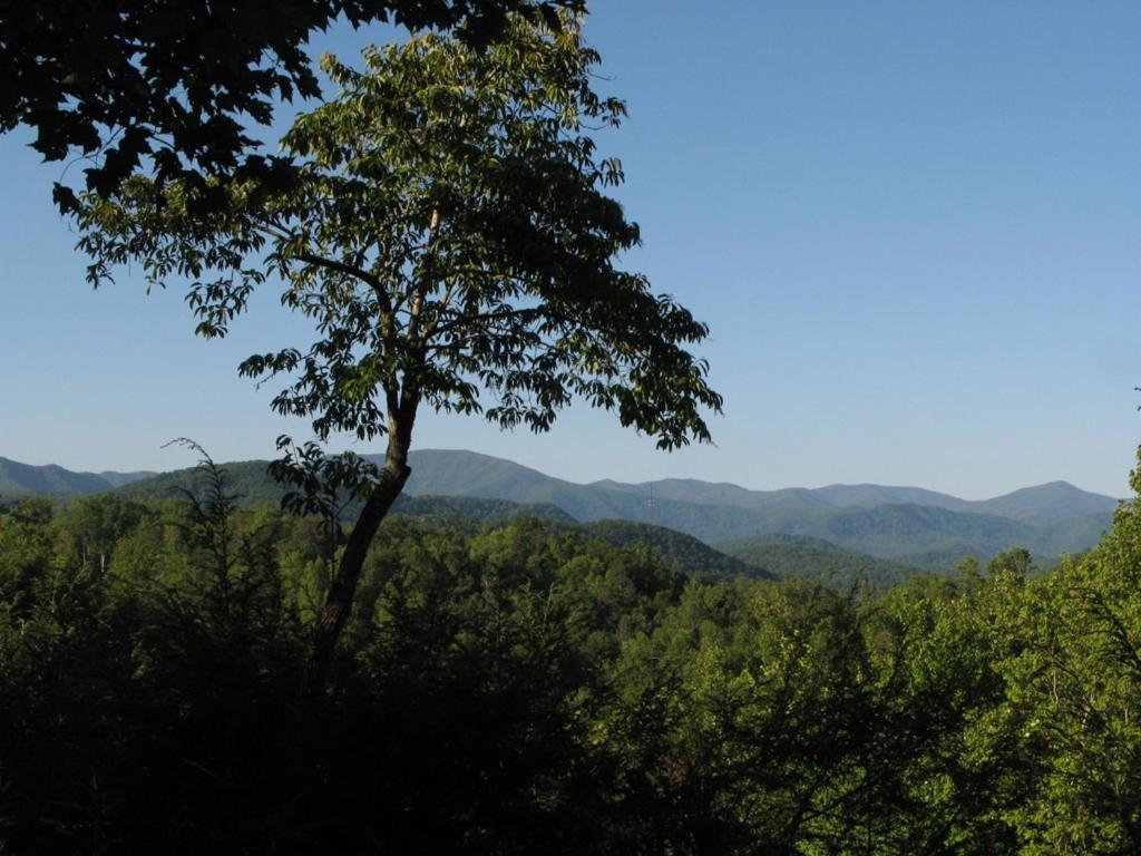Villa Cubs Cove Gatlinburg Exterior foto